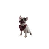 Pawstar Omg Babe Kedi Köpek Fuları Pet Bandanası Bordo 2