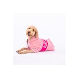 Pawstar Pembe Angry Dog Orta ve Büyük Irk İçin Köpek Ceketi Köpek Sweati Köpek Elbisesi Köpek Kıyafeti