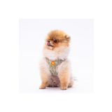 Pawstar Pizza Air-mesh Göğüs Tasması Kedi Köpek Göğüs Tasması