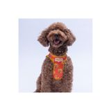 Pawstar Poodle Air-mesh Göğüs Tasması Kedi Köpek Göğüs Tasması