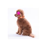 Pawstar Poodle Köpek Desenli Köpek Boyun Tasması Ayarlanabilir Köpek Tasması