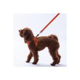 Pawstar Poodle Leash Poodle Desenli Kedi Köpek Sevk & Gezdirme Kayışı Köpek Uzatma Tasması-2Cm