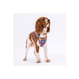 Pawstar Puzzle Air-mesh Göğüs Tasması Kedi Köpek Göğüs Tasması 3XSmall