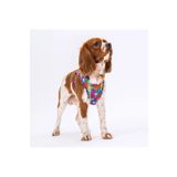 Pawstar Puzzle Air-mesh Göğüs Tasması Kedi Köpek Göğüs Tasması