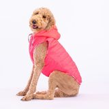 Pawstar Railway Neon Fuşya Su İtici Orta-Büyük Irk Köpek Yelek Yağmurluk (5XL)