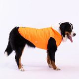 Pawstar Railway Neon Turuncu Su İtici Orta-büyük Irk Köpek Yelek Yağmurluk