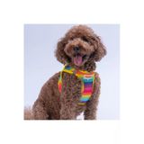 Pawstar Rainbow Air-Mesh Göğüs Tasması Kedi Köpek Göğüs Tasması Gökkuşağı Desenli Köpek Tasması