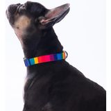 Pawstar Rainbow Gökkuşağı Desenli Renkli Köpek Boyun Tasması Ayarlanabilir Köpek Tasması - Çok Renkli