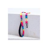 Pawstar Rainbow Leash Gökkuşağı Desenli Kedi Köpek Sevk & Gezdirme Kayışı Köpek Uzatma Tasması-2Cm