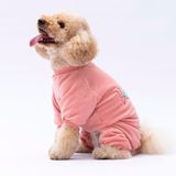 Pawstar Rose Bonjour Kadife Küçük Irk Köpek Tulumu - 2XL