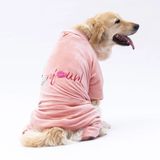 Pawstar Rose Bonjour Kadife Orta-büyük Irk Köpek Tulumu