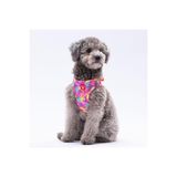 Pawstar Rosea Camouflage Air-Mesh Kedi Köpek Göğüs Tasması