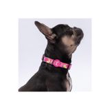 Pawstar Rosea Camouflage Pembe Kamuflaj Desenli Köpek Boyun Tasması Ayarlanabilir Köpek Tasması