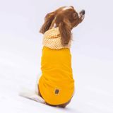 Pawstar Sarı Gingham Kapşonlu Kedi Köpek Tişörtü- Kedi Köpek Kıyafeti S