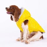 Pawstar Sarı Light Wave Su İtici Küçük Irk Köpek Yağmurluğu