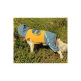 Pawstar Sarı The World Tulum Köpek Kedi Tulumu, S Beden
