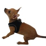 Pawstar Siyah Air-Mesh Göğüs Tasması Kedi Köpek Göğüs Tasması 2xs
