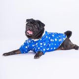Pawstar Stars Blue Peluşlu Su Geçirmez Küçük Irk Köpek Yağmurluğu (L)