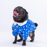 Pawstar Stars Blue Peluşlu Su Geçirmez Küçük Irk Köpek Yağmurluğu