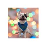 Pawstar Stay Kedi Köpek Fuları Pet Bandanası Mavi 2
