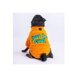 Pawstar Turuncu Cool Sweet Küçük Irk Köpek Pofuduk Sweatshirt (XL)