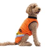 Pawstar Turuncu Sunrise Büyük Köpek Tişörtü - Köpek Kıyafeti (15 Kg-45 Kg) 4xl