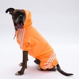 Pawstar Turuncu Tuta Orta-Büyük Irk Köpek Tulumu (3XL)