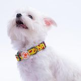 Pawstar Watermelon Karpuz Desenli Köpek Boyun Tasması Ayarlanabilir Köpek Tasması - Sarı