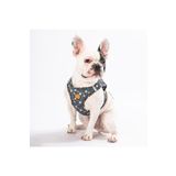 Pawstar Wow Air-mesh Göğüs Tasması Kedi Köpek Göğüs Tasması Xsmall