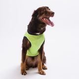 Pawstar Yeşil Shark Büyük Köpek Tişörtü - Köpek Kıyafeti 15 Kg - 45 Kg 6 Xl