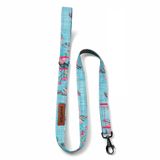Pawtools Çiçek Desenli Köpek Gezdirme Kayışı – Küçük Irklar İçin