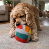 Pawtools Zeka Küpü Orta – Köpek Zeka Oyuncağı – İnteraktif Koklama Oyuncağı – Orta Irklar için Aktivite Oyuncağı (Gri)