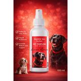 PawX Amor Amor Köpek Parfümü 100 ml – Kalıcı & Etkileyici Günlük Bakım Koku Spreyi