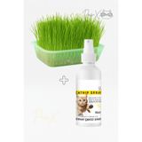 PawX Doğal Kedi Çimi Seti ve Catnip Oyun Sakinleştirici Sprey 100 ml