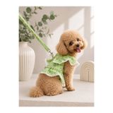 Payidar Hediyelik ÇİÇEK DESENLİ DANTELLİ KEDİ/KÖPEK ELBİSESİ VE GEZDİRME TASMASI TAKIM (2 PARÇA ELBİSE TASMASI VE GEZDİRME KAYIŞI) FIRFIRLI TASARIM