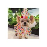 Payidar Hediyelik KEDİ / KÖPEK PARTİ KIYAFETİ (2 PARÇA) EVCİL HAYVAN DOĞUM GÜNÜ / EĞLENCE / FOTOĞRAF AKSESUARI