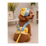 Payidar Pet Pet Fashion Kedi/Köpek Yürüyüş Kombini – Özel Tasarım, Şıklık ve Konfor ( 3 parça : Göğüs Tasması +Şapka + Gezdirme ipi )