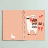 Paytak Moda PYTKDT0242 Spiralli Defter