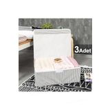 Pazar Kapısı Çok Amaçlı Düzenleyici Kapaklı Sandık Tipi Kutu Hurç Organizer 3 Lü Set (Gri, Baza 50 x 40 x 19)