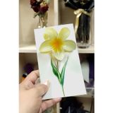 Pazarcan 100 Adet Sarı Lotus Toka 8 Cm Kına Seti