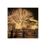 Pazariz 100 Ledl Pilli Led Işık Dekoratif Led Işık Zinciri Gün Işığı Led