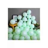 Pazariz 12 Inç Standart Boy Makaron Balon 50 Adet Mint