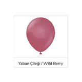 Pazariz 12 Inç Standart Boy Retro Balon 20 Adet Yaban Çileği