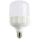 Pazariz 25W Led Ampul E27 Duylu Ct-4263