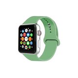Pazariz Apple Watch Uyumlu 2 3 4 5 6 Uyumlu Se 42 Mm 44 Mm Delikli Spor Kordon Kayış