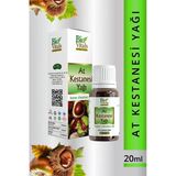 Pazariz At Kestanesi Yağı 20Ml