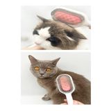 Pazariz Kedi Köpek Tüy Saç Tımar Temizleme Fırçası Tarağı
