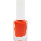 Pazarız Oje No 294 + 120 Oje Makyaj Çantası Kozmetik Seti