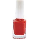 Pazarız Oje No 299 + 246 Oje Makyaj Çantası Kozmetik Seti