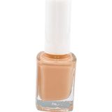 Pazarız Oje No 53 + 233 11 ml Quick Dry Extra Shine Redesign Oje Kurutucu Cila Kozmetik Seti